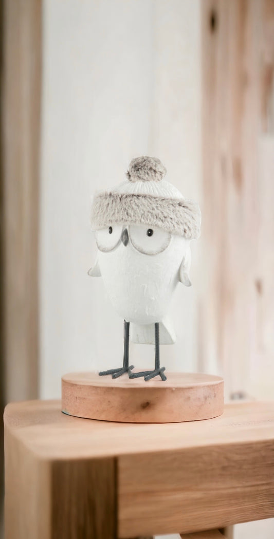 Hibou bonnet hiver