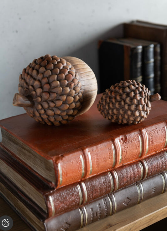 Pomme de pin & gland